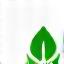 Icon für nachhaltigkeit